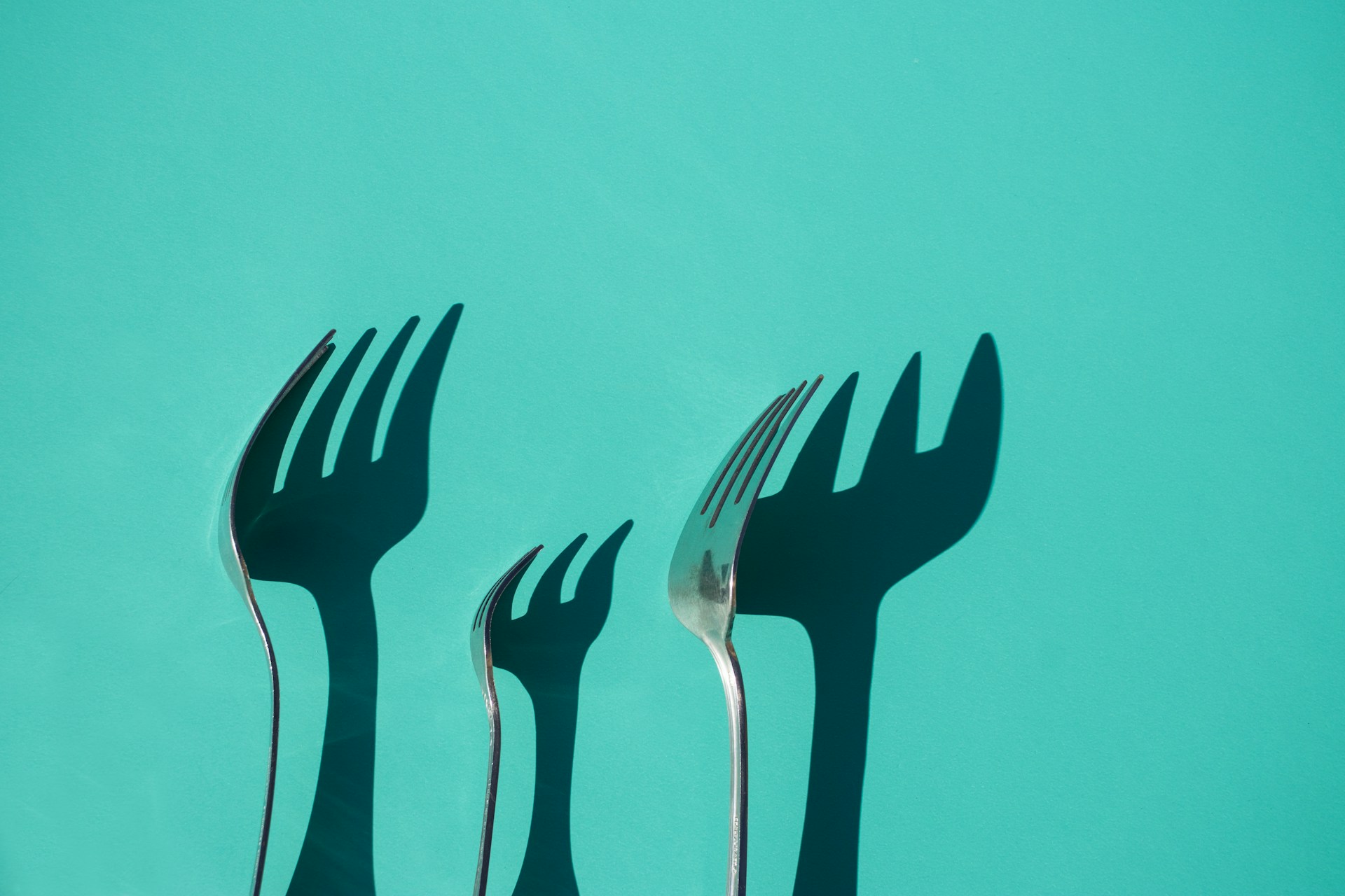 Fork - My Favorite Git GUI and Why It Boosts My Productivity